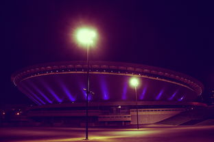 Faker爆冷击败切尔西，高光表现引爆全场！-九游登入